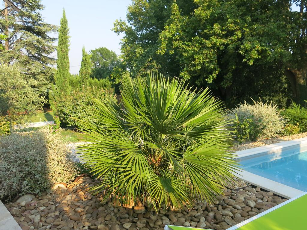 Mas De Mariette Bed & Breakfast Noves Exterior photo