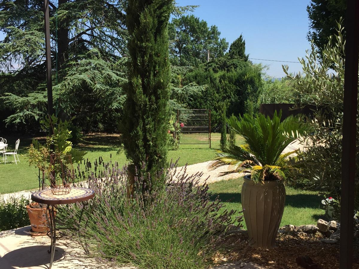 Mas De Mariette Bed & Breakfast Noves Exterior photo
